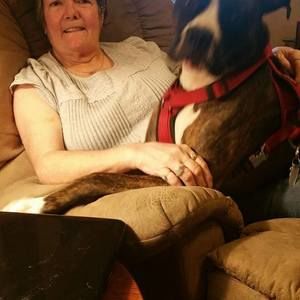 Meet your Posher, Cathy an jerry